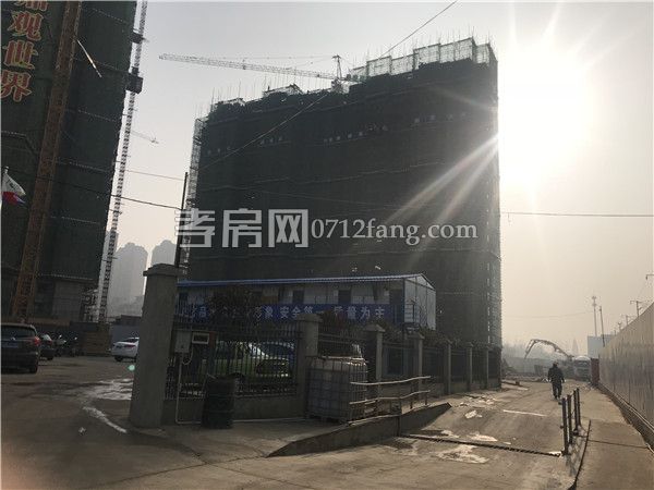 2017121616462333785qtajxn.jpg 100782809361107968.jpg