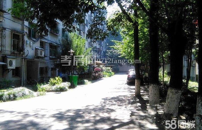 雙 衛(wèi)生局單位房52萬(wàn)