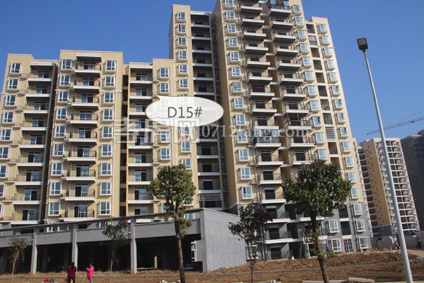 2017122616115040925yfttef.jpg 793037900804689560.jpg