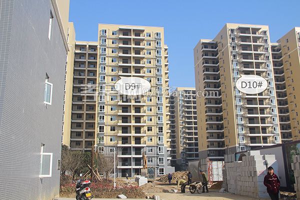 2017122616122612548ftr7ot.jpg 710523602892538493.jpg