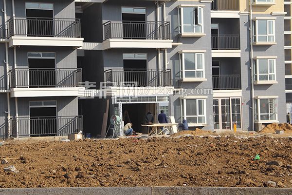 2017122616150450330dt3dh9.jpg IMG_4539.jpg