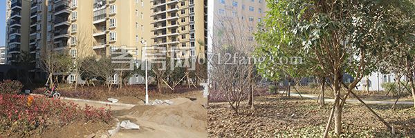 2017122616163632196dxownt.jpg 未標題-1.jpg