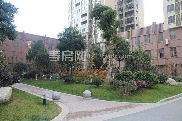 2017122617292115337hpbhmd.jpg 綠化.jpg