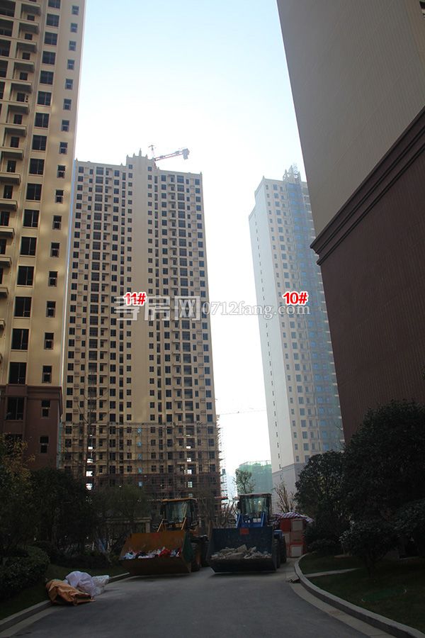 2017122617355387185xvuqrn.jpg IMG_4595.jpg