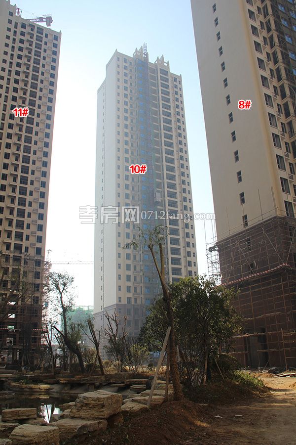 2017122617362814202bx4zpe.jpg IMG_4598.jpg