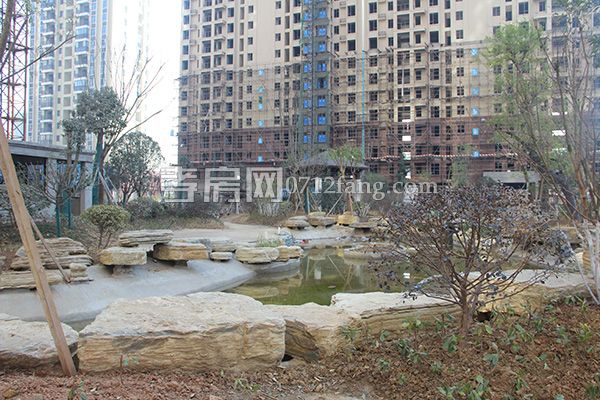 2017122617385426705ksmxew.jpg IMG_4600.jpg