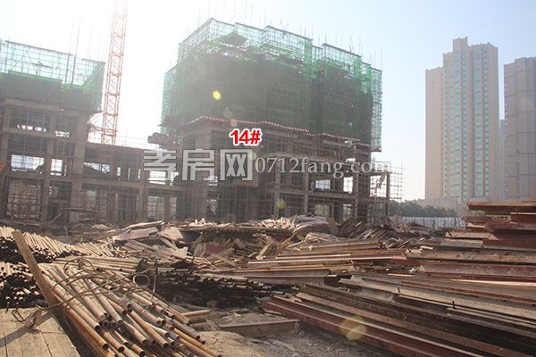 2017122617402646197qzlwx5.jpg IMG_4607.jpg