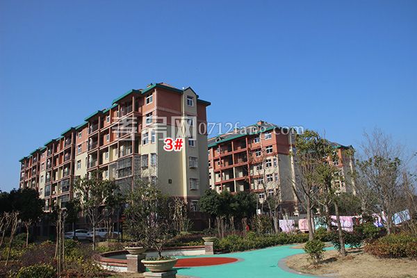 2018011216051546152yaxaoi.jpg IMG_4397.jpg