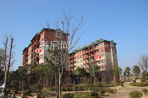 2018011216061383756x6hwbf.jpg IMG_4402.jpg