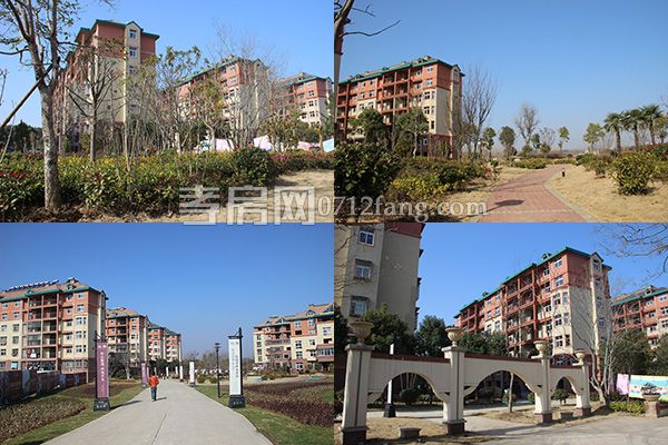 20180112160651847427ytuwn.jpg 未標(biāo)題-1.jpg