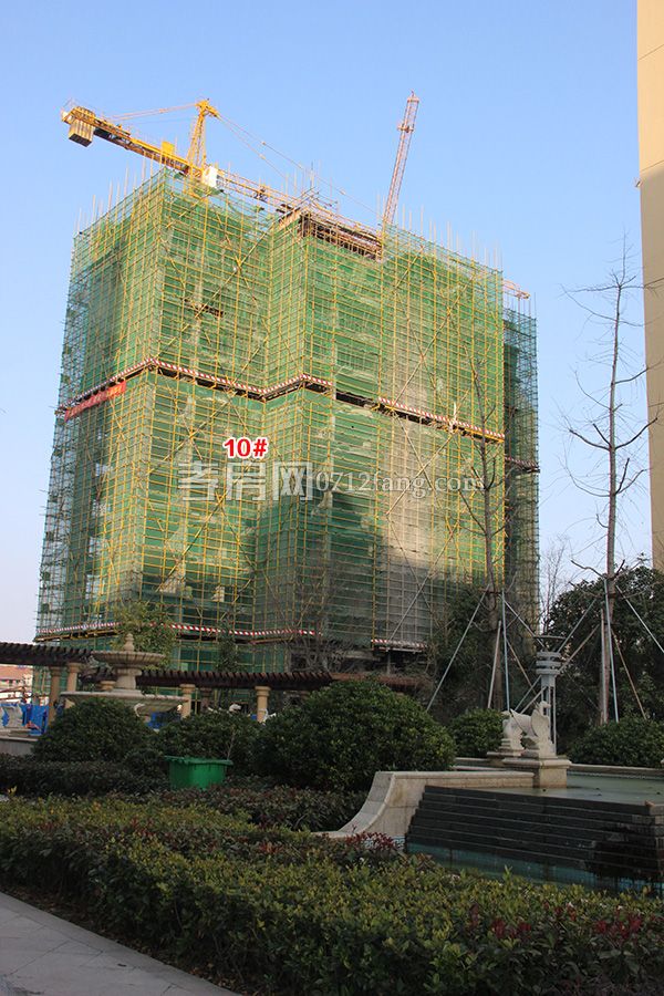 2018011317291642163yyjhys.jpg 10#.jpg