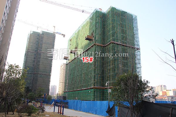 2018011317293489296mqjece.jpg 15.jpg