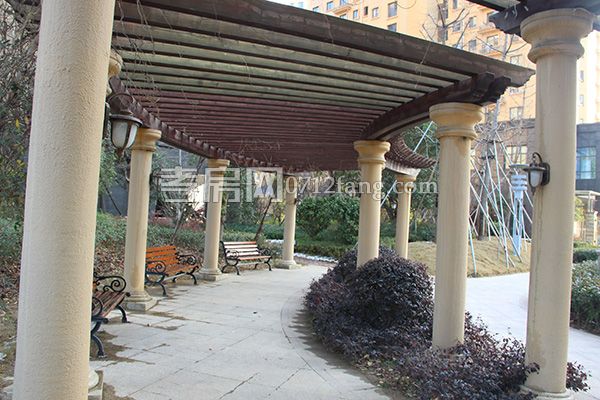 2018011317302547329vxgjzv.jpg IMG_4432.jpg