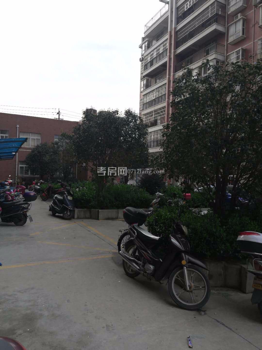 鼎觀世界3室2廳1衛(wèi)98平精裝修準(zhǔn)新房中間樓層