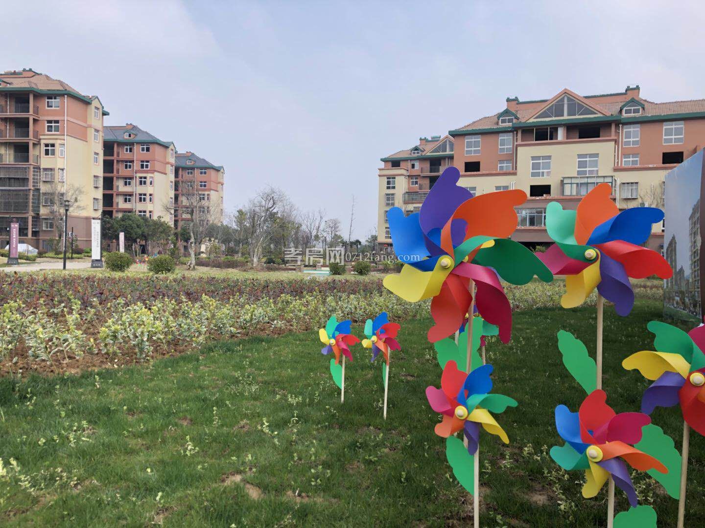 中宇天地-紅郡實景圖