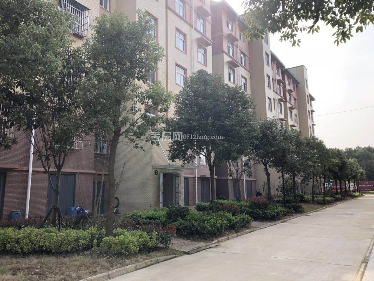 小區(qū)內(nèi)綠化2