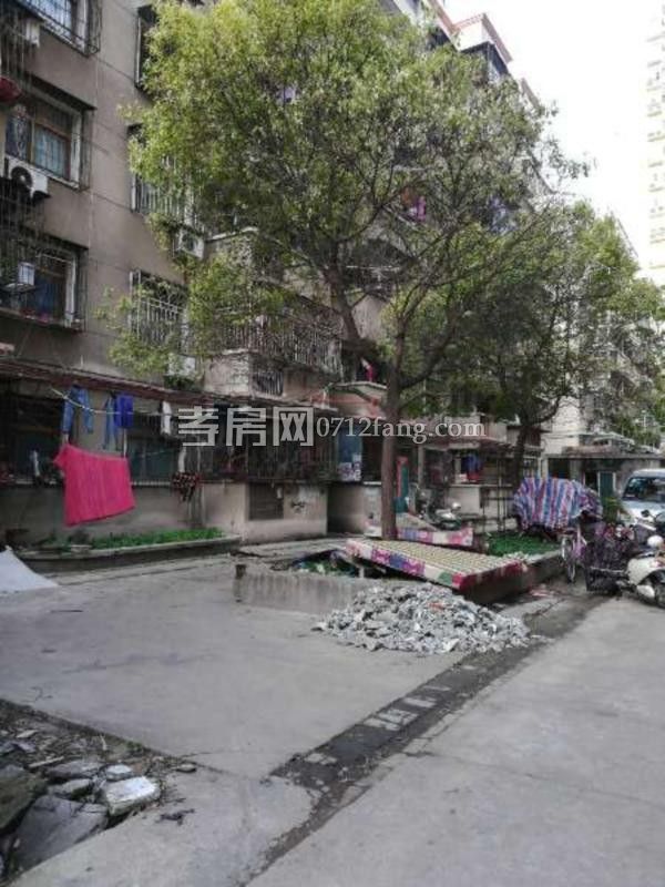 滿兩年柴油小區(qū)南區(qū)3室1廳1衛(wèi)80平簡(jiǎn)單裝修3樓