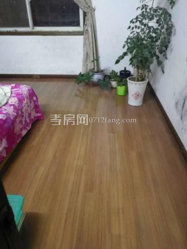 濱湖天地菊苑3室2廳2衛(wèi)114平毛坯觀景高層