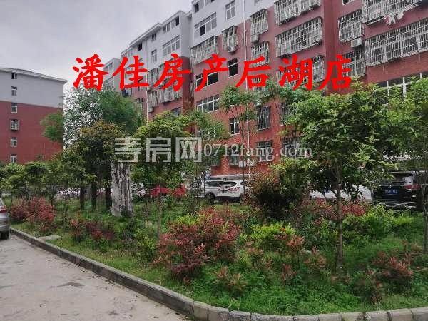 全州國際北區(qū)電梯房，經(jīng)典三房，簡裝修，贈(zèng)送家電拎包入住75萬急售