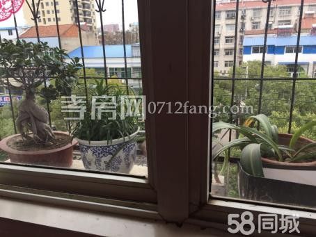 錦繡后湖1室1廳1衛(wèi)，中等裝修拎包入住