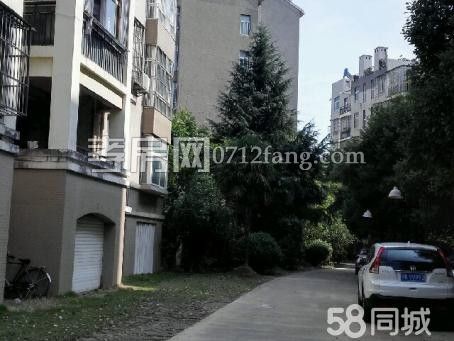 長征路車所旁小康新村4樓152平中等裝修60萬看中可小刀