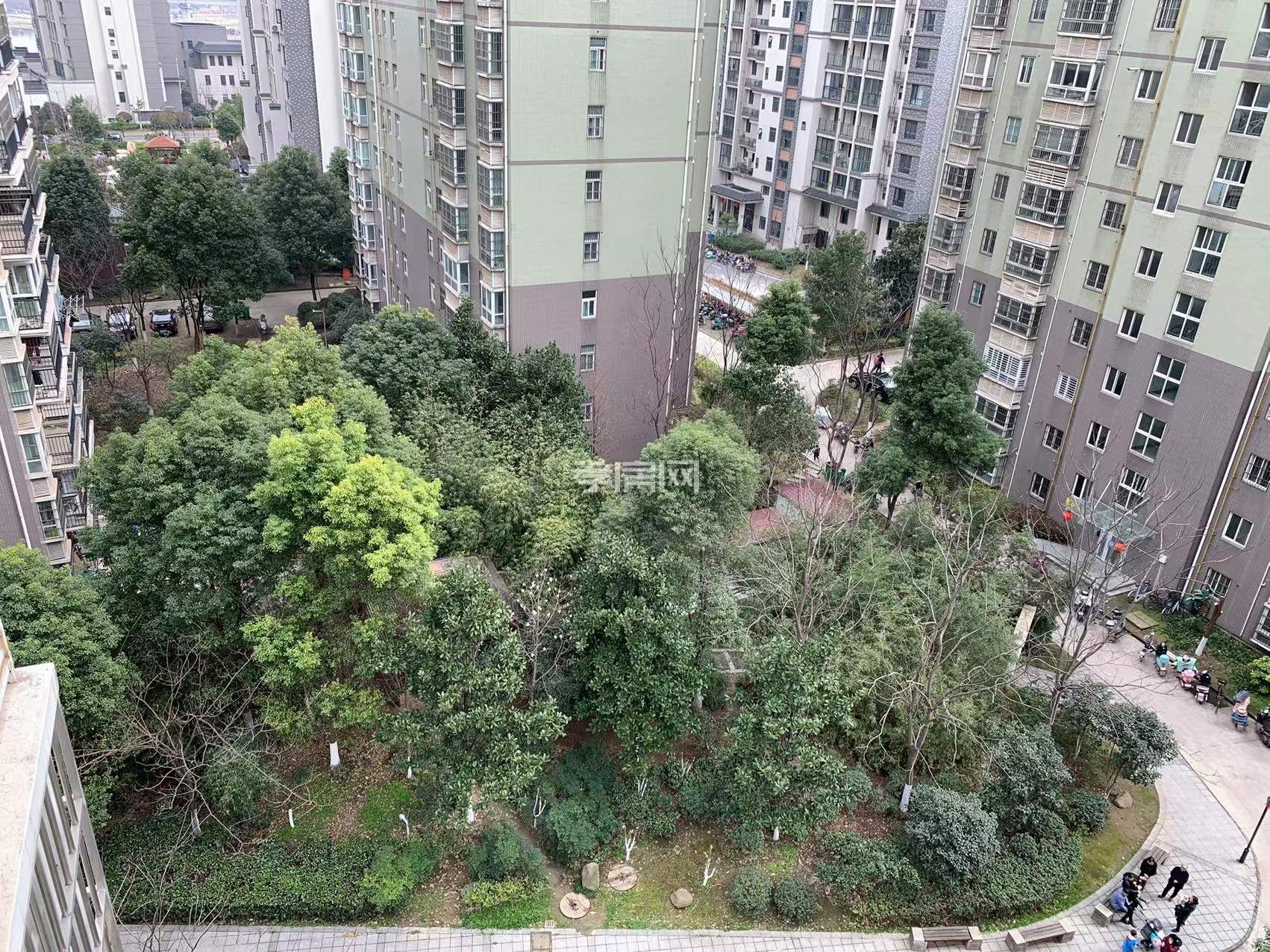 房東急售！?。。。。。?！