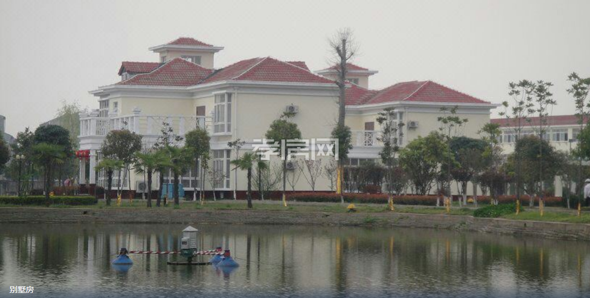 寰川路多棟別墅房出租，房東直租