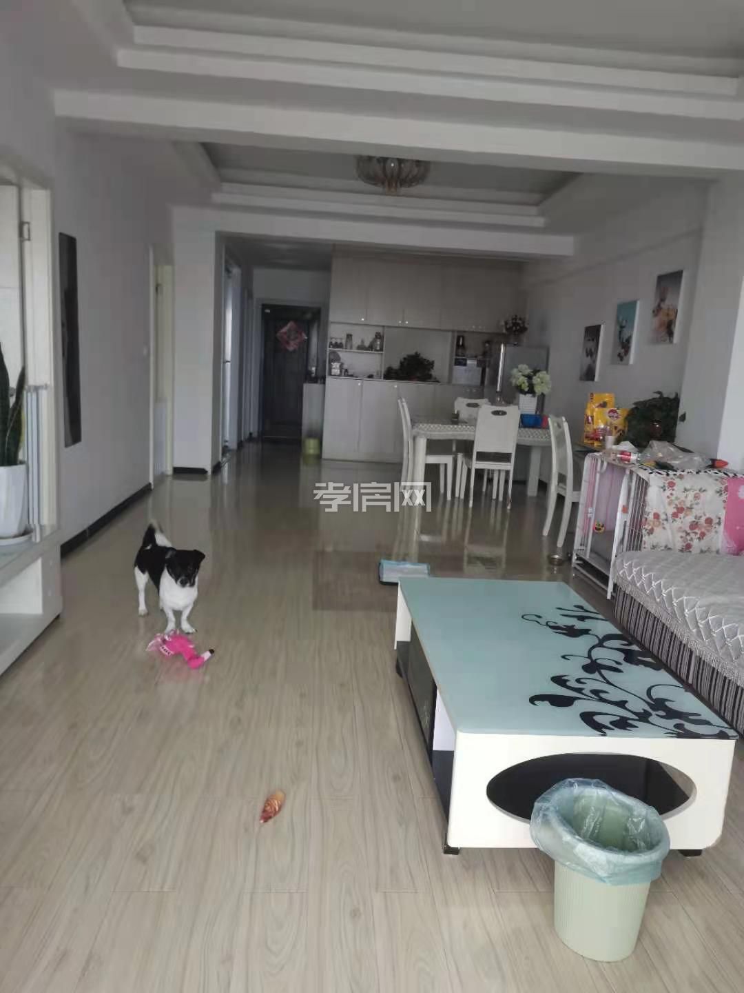 全州國(guó)際商城文昌中學(xué)三里棚 精裝修拎包入住