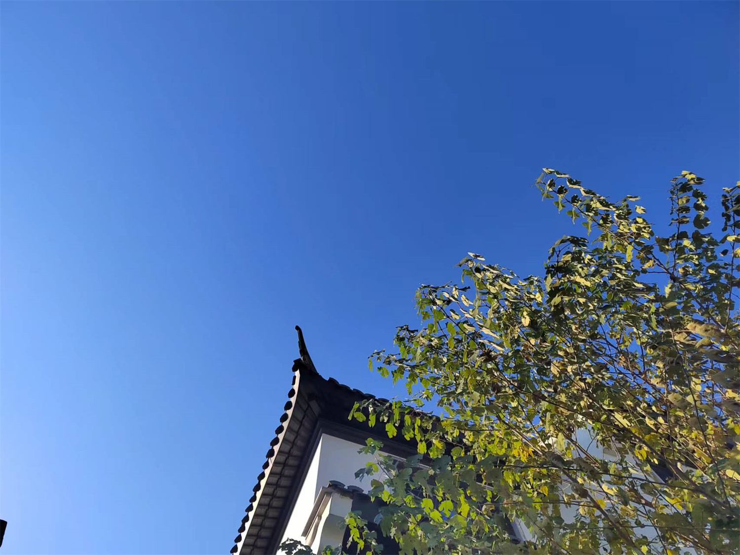 中城雅園實(shí)景圖